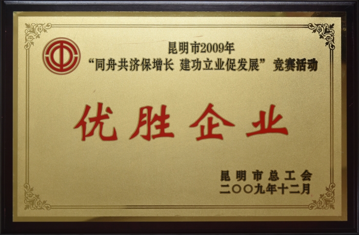 昆明市2009年 同舟共濟保增長(cháng) 建功立業促發(fā)展 優勝企業